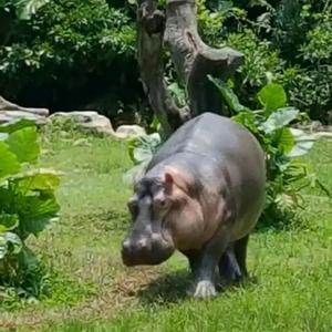 宇宙的浪漫头像