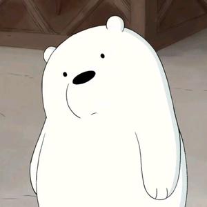 white bear头像