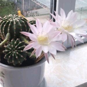 一切随缘241652230头像