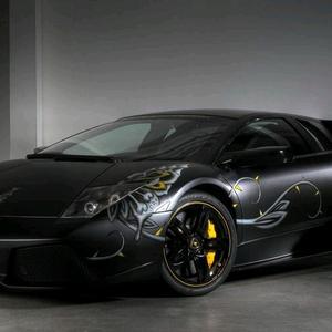 风景随心享头像