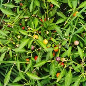 八度空间～头像