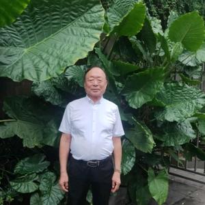 碧水蓝天。头像