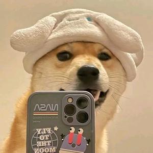 机智周二狗头像