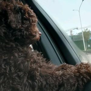 @知足💞常乐头像