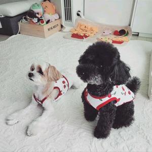 小范爱吃泡菜鱼头像