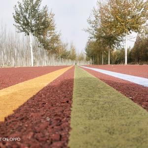 君生我未生头像