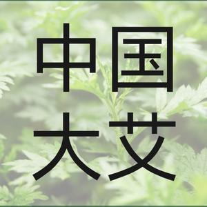 金玉满堂头像