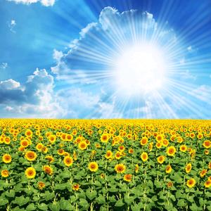 卍天赐良缘卍☀☀☀️的抖音 - 抖音