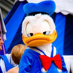 Simon鹿先生🥕🥕🥕头像