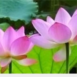 用户5759472888682头像