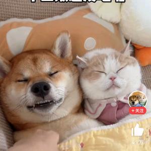 胖子和拿铁同学头像