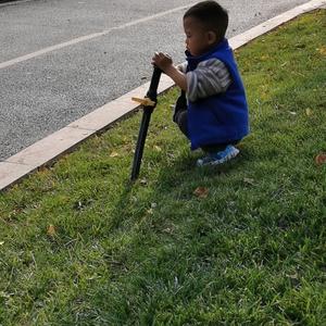 老常不懂车头像