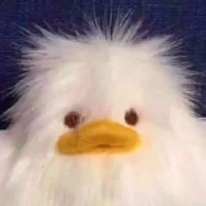 犇犇跑起来头像