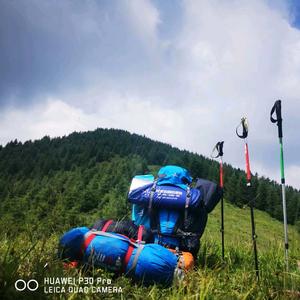 雨中清荷☘🍂头像