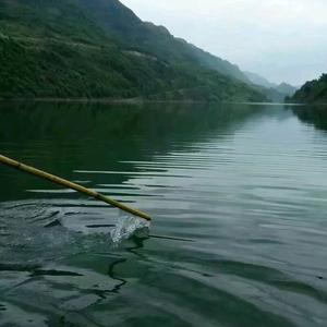 简单点，糊涂点头像