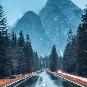 🐺 佐  岸 🐺头像