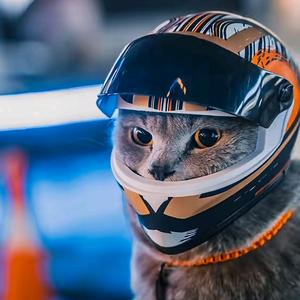 发飙的酸菜头像