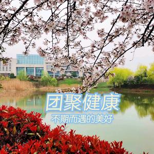 团聚健康头像