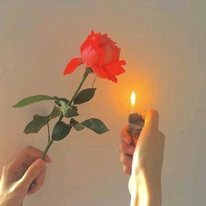 公主的ᴸᵒᵛᵉ很廉价头像