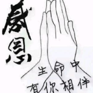 阿李工作室头像