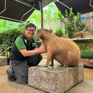 你好，赵哥🇨🇳头像