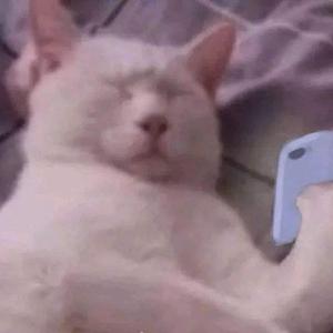 换个抖音生活头像