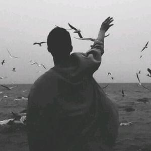 坦然（记录美好生活）头像