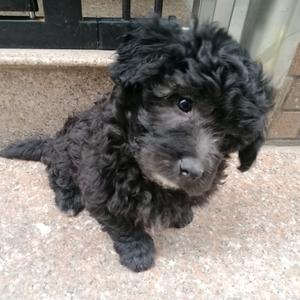 倾听风和雨头像