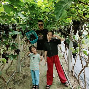 秘密（探睢宁）头像