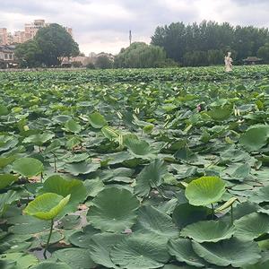 牛牛今天签到头像