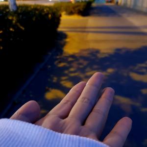 手剥奶油栗子头像