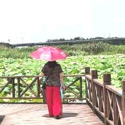 大姐头像