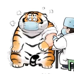 叶丹头像