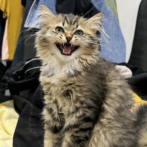 热心市民熊女士头像