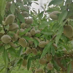 云城区恒优百货商行头像