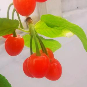 十里温柔🇨🇳头像