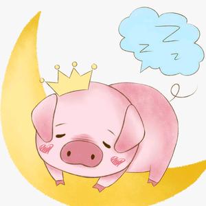 小猪猪🐷头像
