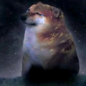 Cheese—Snow Leopard头像