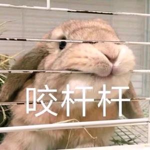铁锤锤头像