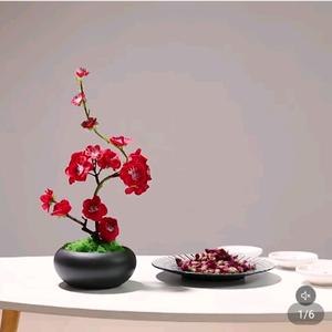 春音chun yin头像