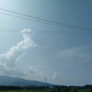 等待开花。头像