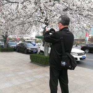 天高云淡-L头像