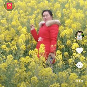 快乐每一天😊头像