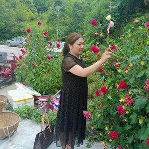 相知相惜刘姐头像