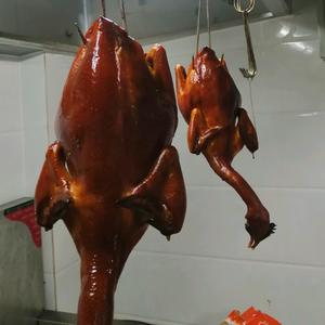 享野星空营地头像