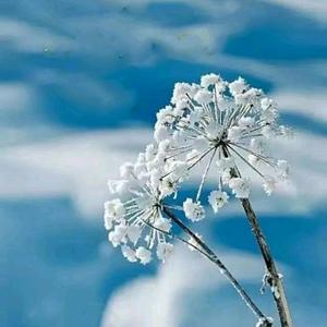 阿娇(拒私聊)头像