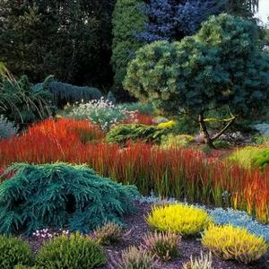 杨子江-数说生态头像