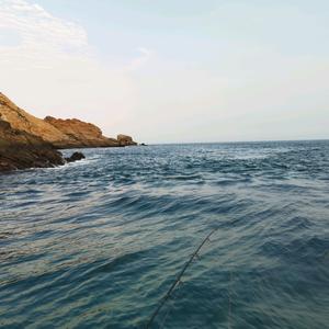 甲阵地一号头像