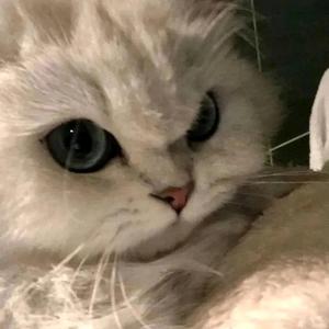 顺丰顺水顺财神头像