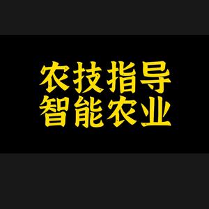 大荔西部农业头像